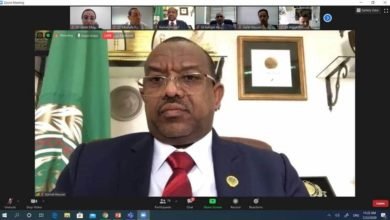 تحت رعاية جامعة الدول عقدت اليوم المنظمة للطيران المدني ورشة عمل حول استعادة ثقة المسافر وسعادة السفير الدكتور كمال حسين علي يطرح رؤيته