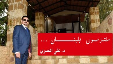 إنهيار الإقتصاد اللبناني صرخة مواطن بقلم د. علي المصري