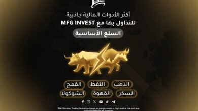 صورة توضيحية - كيف توفر MFG INVEST وصولًا ذكيًا إلى الأسواق المالية العالمية؟