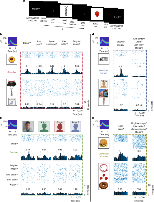 Distinct neuronal populations in human brain combine content and context