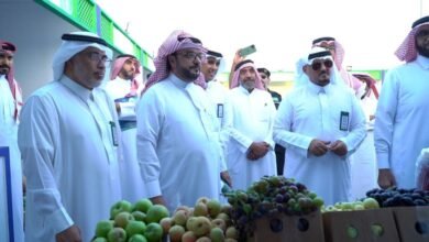 الوزارة تؤكد حاجة المزارعين إلى تمويل لتحديث البساتين ودعم التصدير