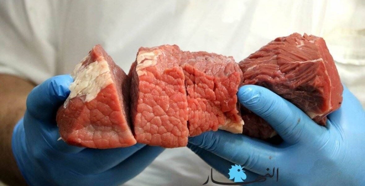 جمعيات المستهلك تحذر من سيناريو اللحوم الخضراء على الأراضي المغربية