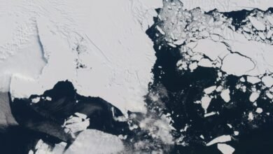 مئات من زلازل الجبال الجليدية تهز النهاية المتهالكة لنهر يوم القيامة الجليدي في القارة القطبية الجنوبية