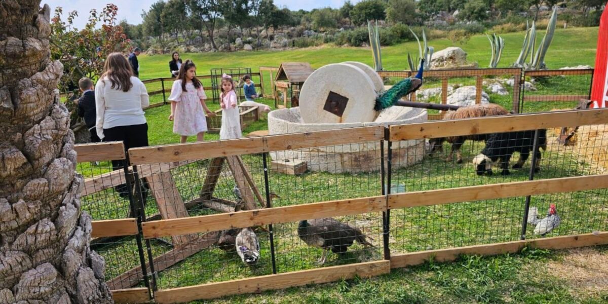 وداعًا للملل! MM Horses and Animals تُتيح للأطفال تجربة تفاعلية مميزة مع الحيوانات